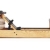 Water Rower Rudergerät Esche mit S4 Leistungsmonitor